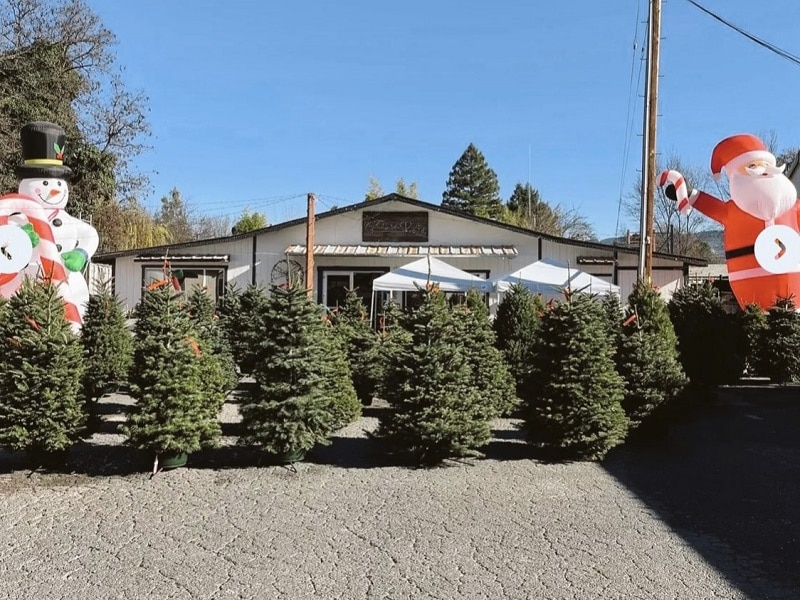 Winter porches and planters